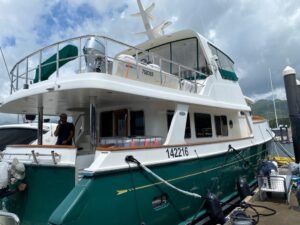 Green Selene 60 OE on the dock taken from the starboard aft side after the delivery from HK