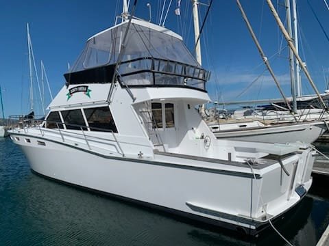 white Game fishing boat delivered by YDS