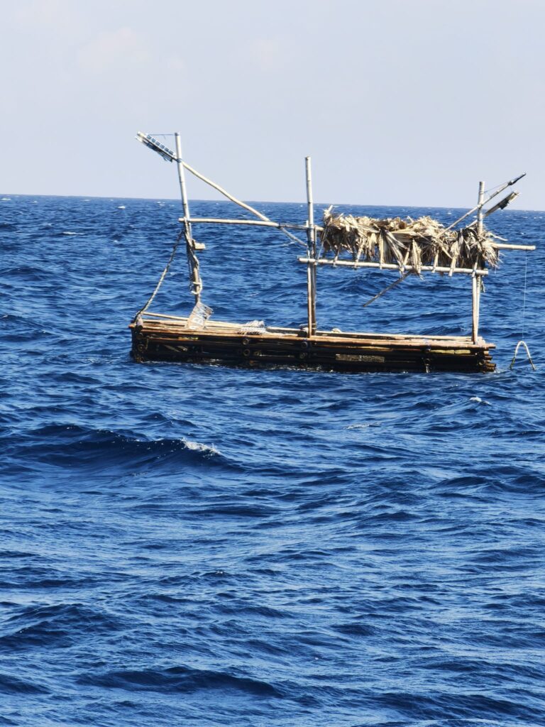 fads in the java sea 